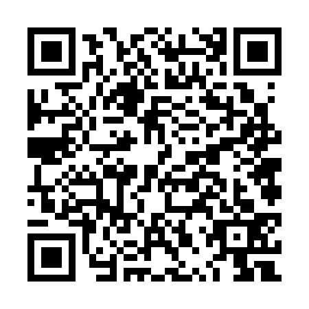 QR code for plate LPV-3333