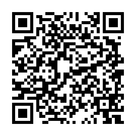 QR code for LQP4993