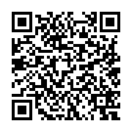 QR code for LRG-9294