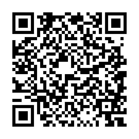 QR code for plate LSD-3838