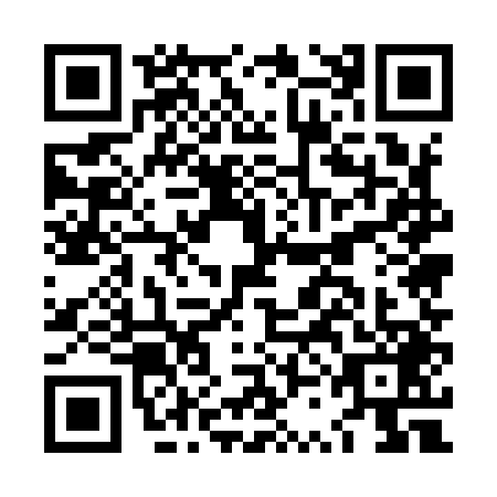 QR code for LSE9493