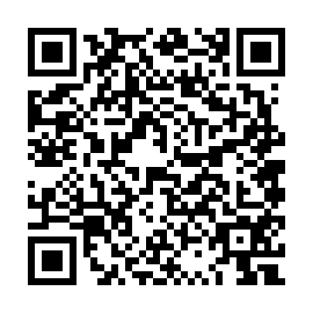 QR code for plate LSF-6541
