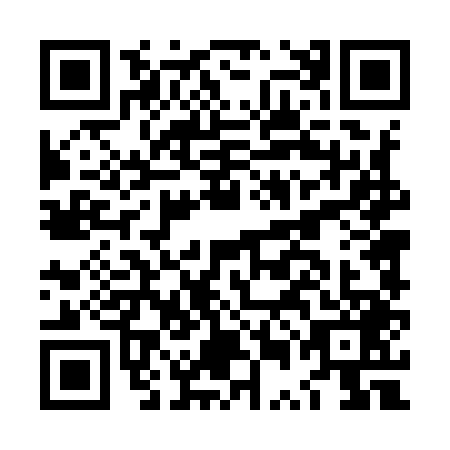 QR code for LUD9494