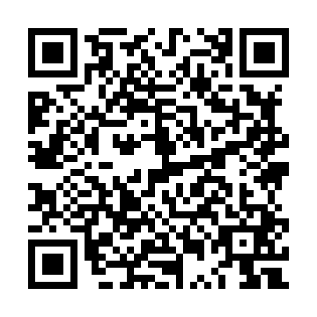 QR code for LUI8413