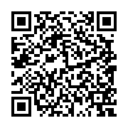 QR code for LUL0533