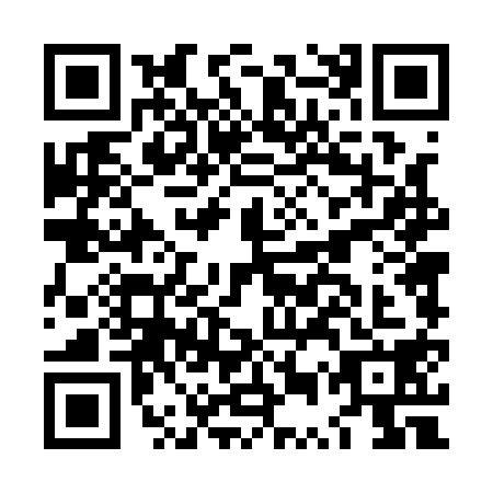 QR code for LUT1181