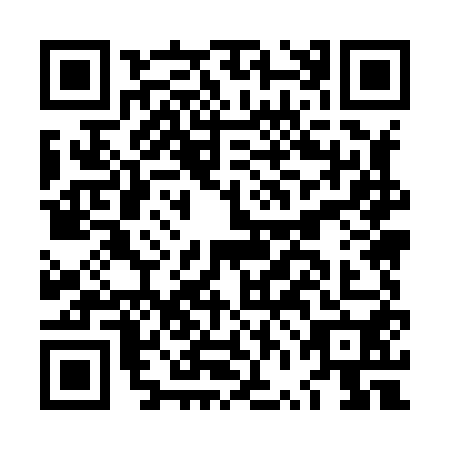 QR code for plate LVM-8504