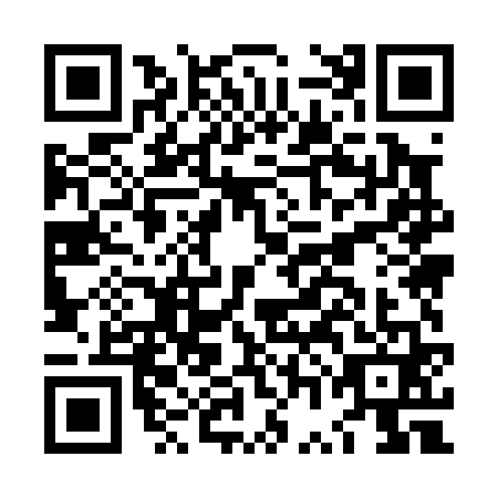 QR code for plate LWM-0617