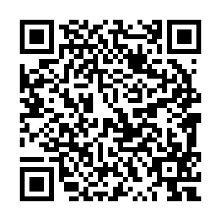 QR code for LXL-2976
