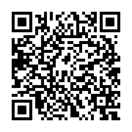 QR code for plate LXR-6656