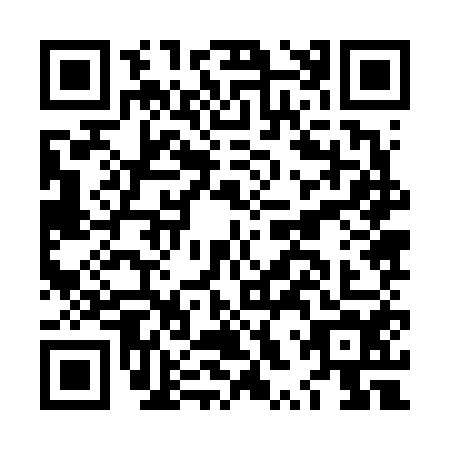 QR code for plate LXZ-6541