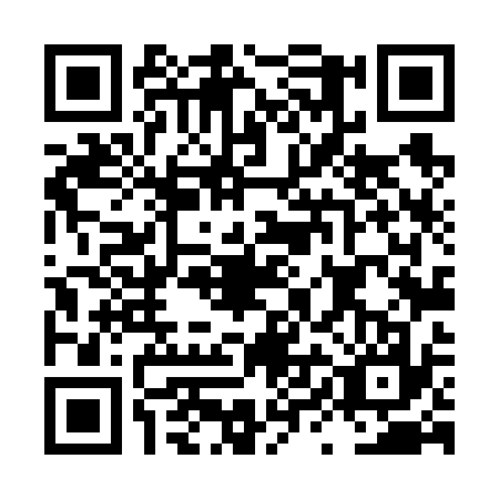 QR code for plate LYL-6373