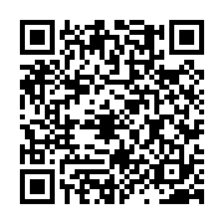 QR code for LYN-0335
