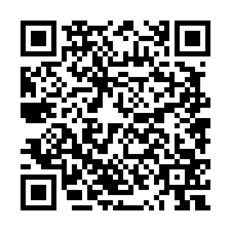 QR code for LYN-4638