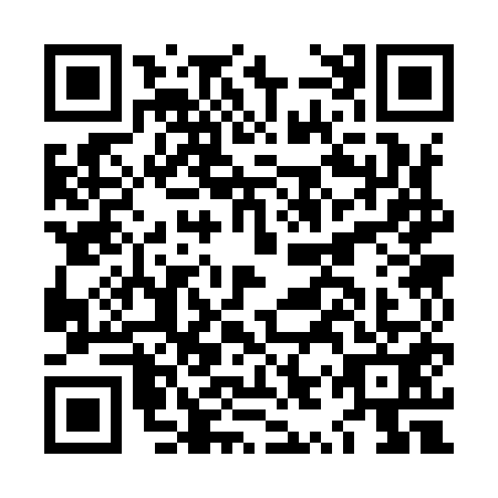 QR code for plate LYS-9517