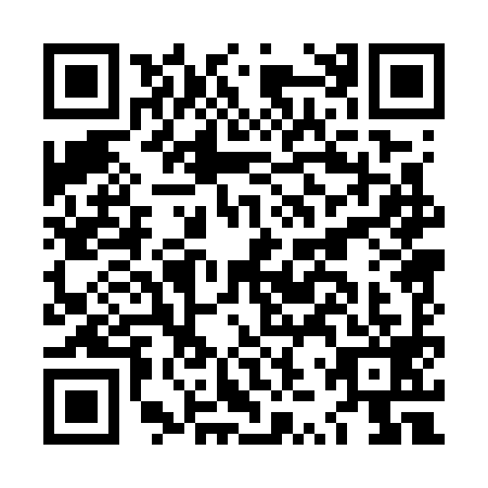 QR code for LZP7991