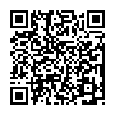 QR code for LZS0393