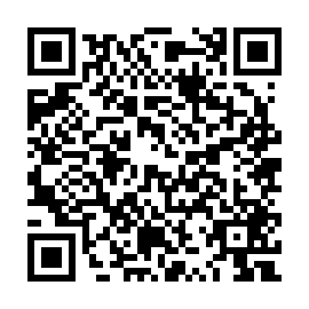 QR code for LZZ2490
