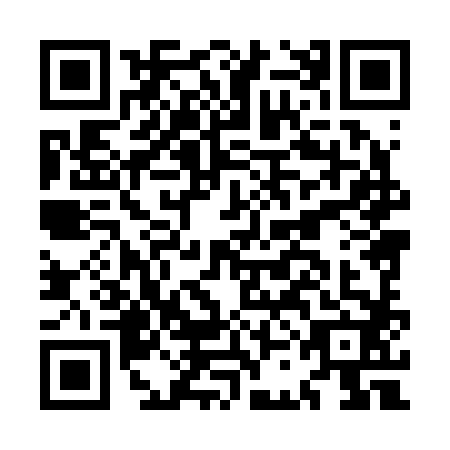 QR code for MCH2821