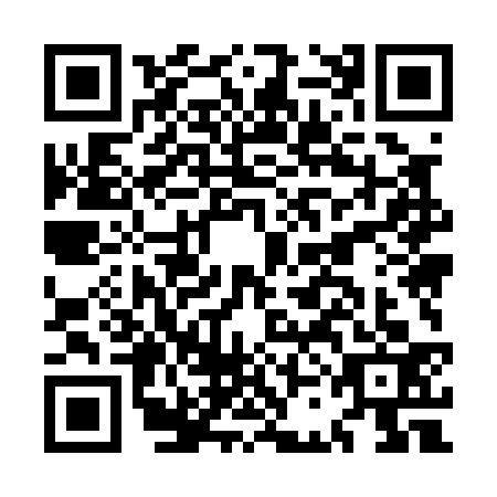 QR code for plate MCM-0338