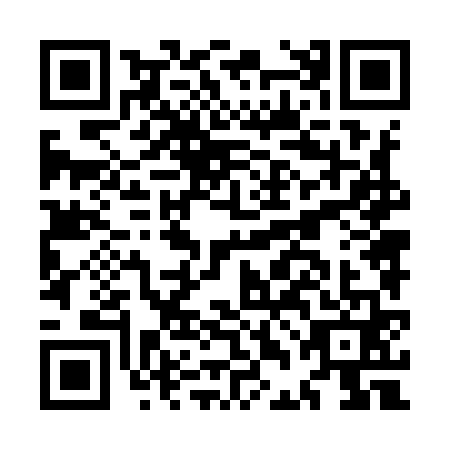 QR code for plate MDN-9611