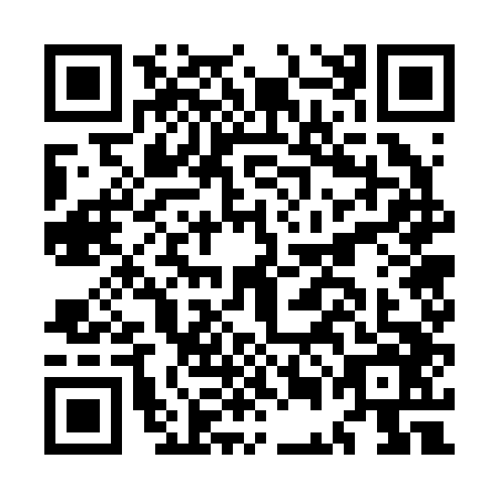QR code for MEG-2463