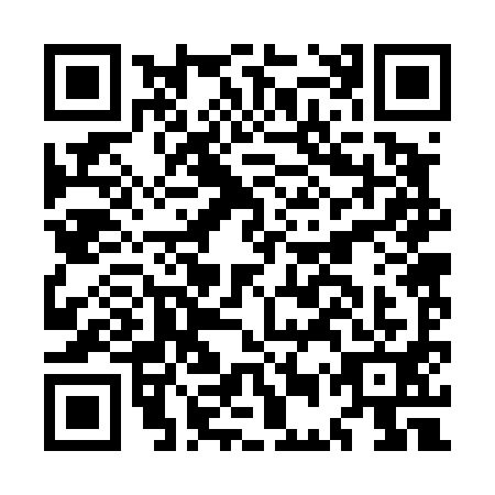 QR code for plate MER-4919