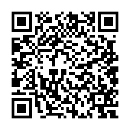 QR code for MFV-0171