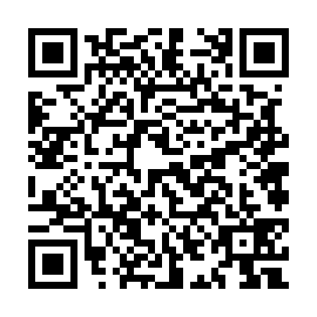 QR code for MIF5391