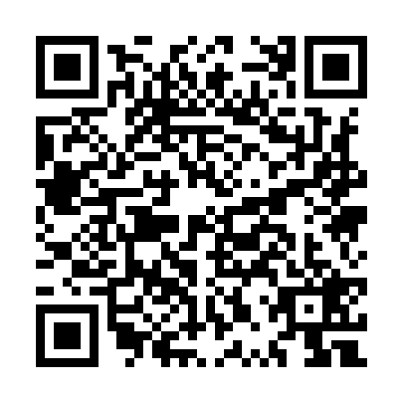 QR code for MPQ-9295