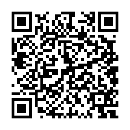 QR code for MPV0163