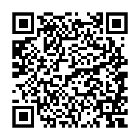 QR code for plate MSD-3847
