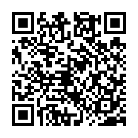 QR code for MSV-6728