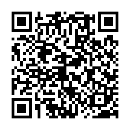 QR code for plate MSV-7038