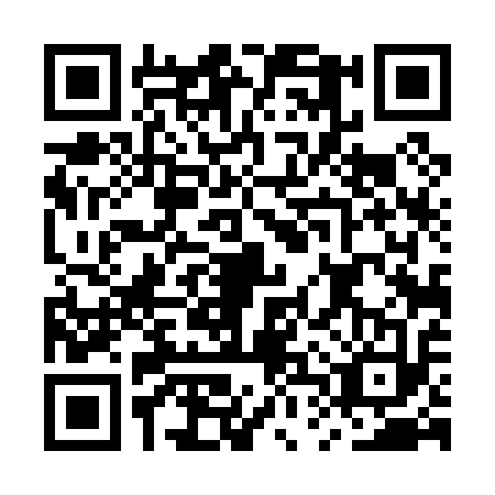 QR code for plate MTT-0137
