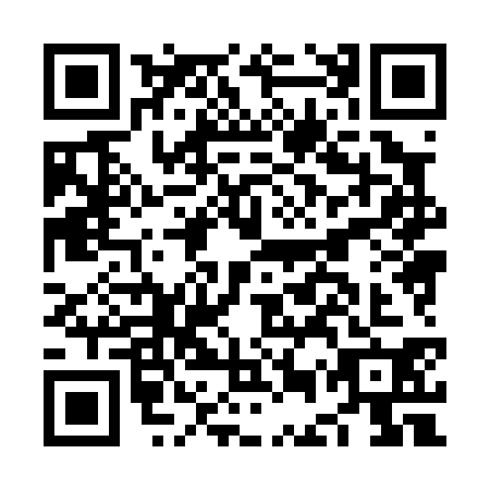 QR code for plate NEX-0303