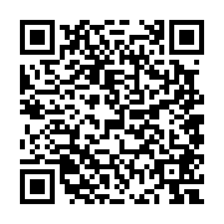 QR code for plate NGV-0487