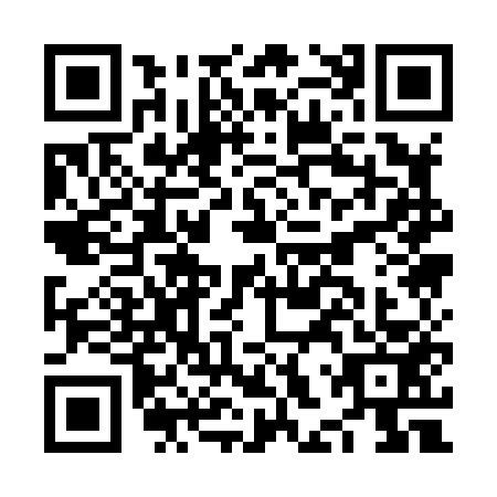 QR code for plate NHQ-8533