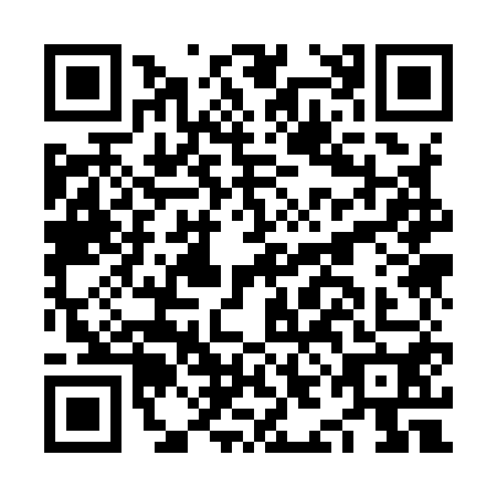QR code for plate NIK-9508