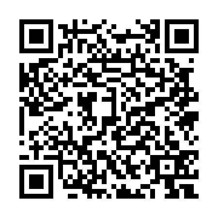 QR code for NIQ-0339