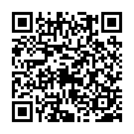 QR code for NLO-2020