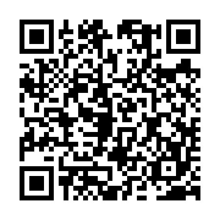 QR code for plate NMB-6565