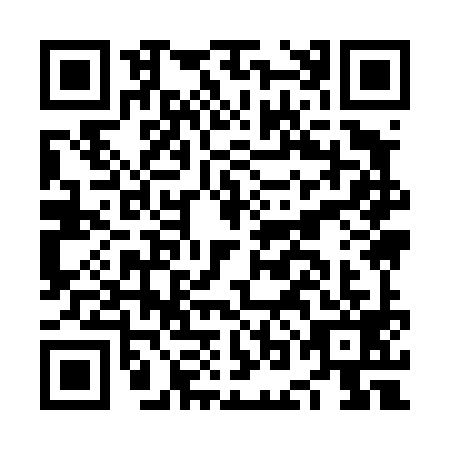 QR code for NOI4993