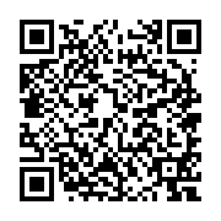 QR code for NPE2900