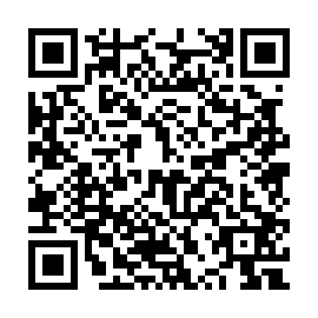 QR code for plate NPP-0028
