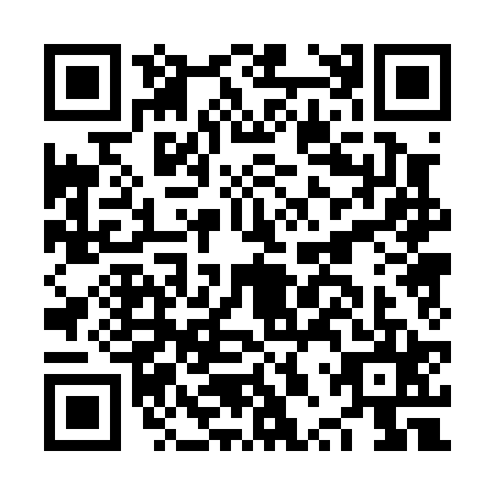 QR code for plate NPP-0255