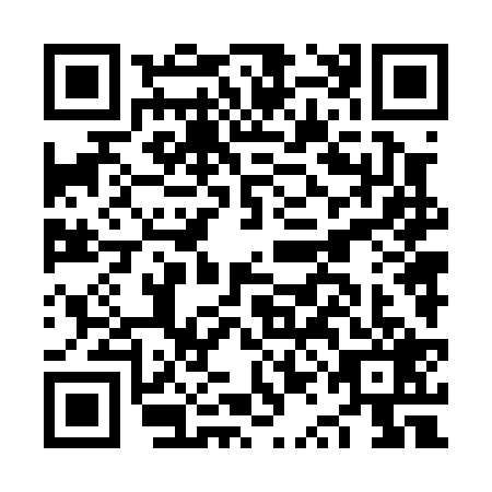 QR code for NQN0295