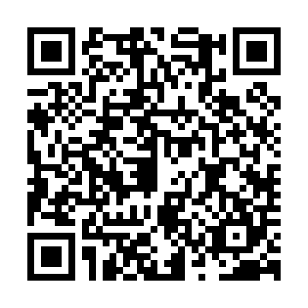 QR code for plate NSR-0040