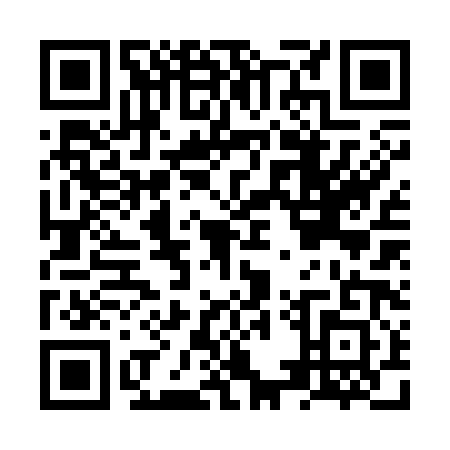 QR code for NUR3811