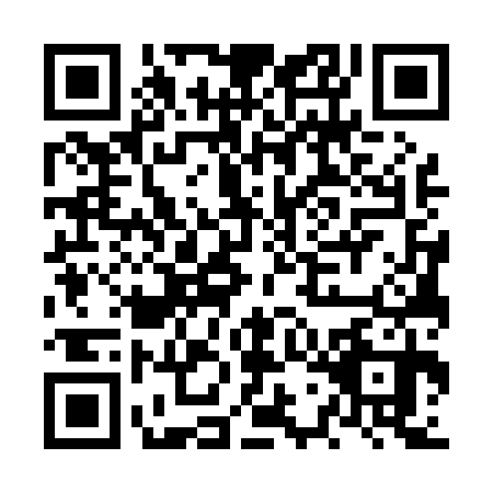 QR code for plate NWG-0300